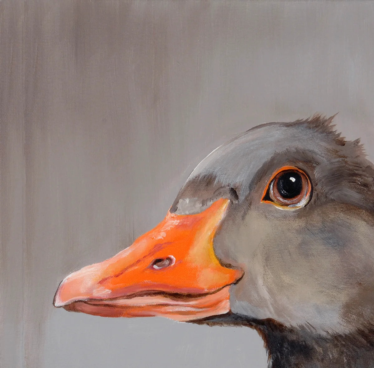 Detailaufnahme Gustav – Leuchtend orangefarbener Schnabel, subtil nuancierter grauer Hintergrund, Christel Keller | Kunst-Direkt.de