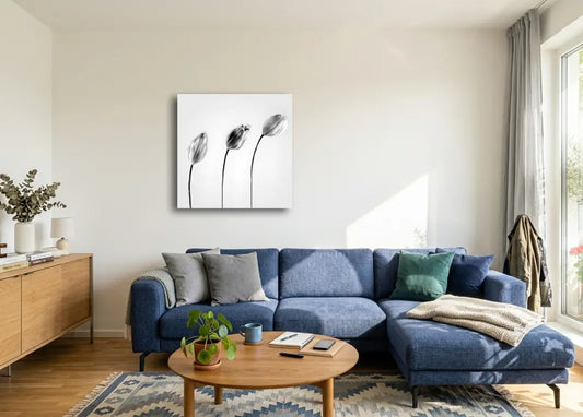 Graceful Tulip 2 von Birte Zabel an der Wand – Fineart Print, limitiert auf 30 Exemplare, botanische Galerie-Fotokunst | Kunst-Direkt.de