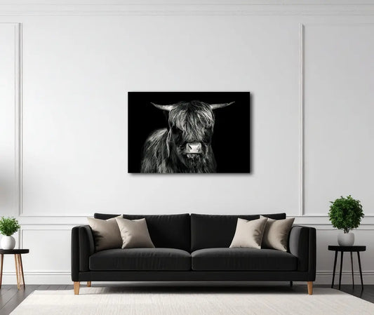 Hochlandrind 1 von Birte Zabel an der Wand – Fineart Print auf Alu-Dibond matt, limitiert auf 30 Exemplare, stoische Naturpräsenz | Kunst-Direkt.de