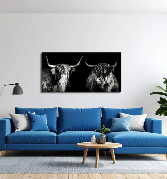 Hochlandrind 2 von Birte Zabel an der Wand – Fineart Print auf Alu-Dibond matt, bis 120x60 cm, limitiert auf 30 Exemplare | Kunst-Direkt.de
