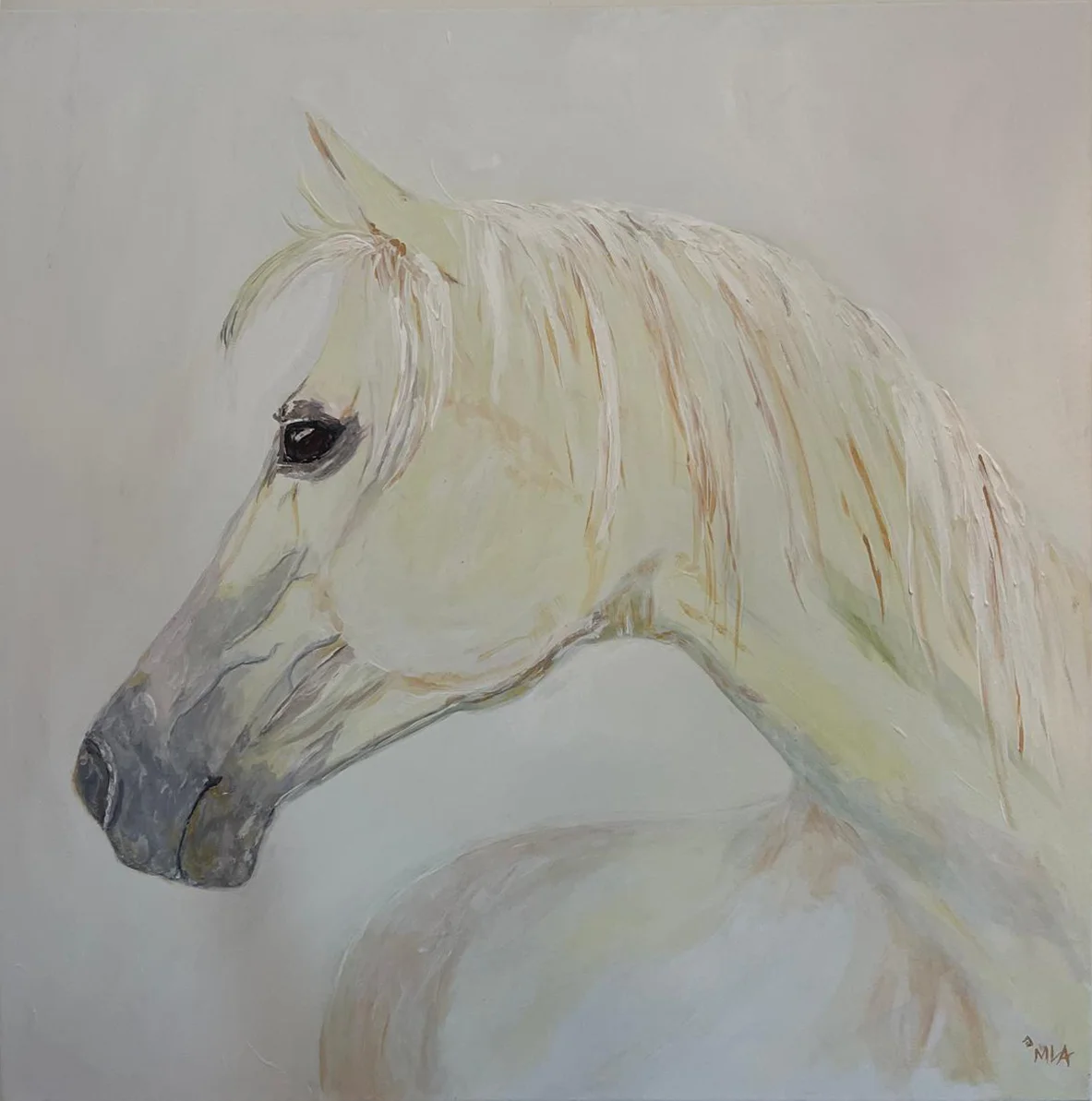 Araber – Acrylgemälde von Maren Lüke-Amato, 80x80 cm, Araberpferd im Profil, Weiß-Creme-Töne mit goldbraunen Reflexen | Kunst-Direkt.de
