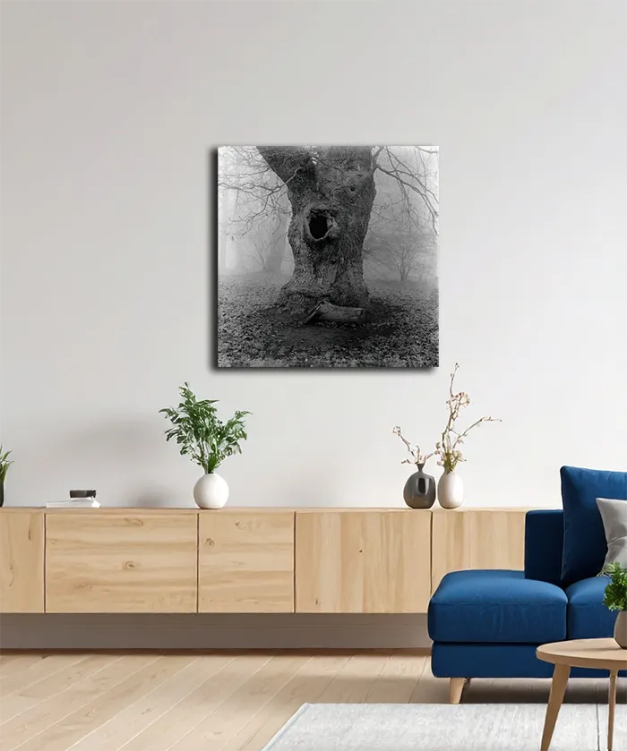 Ein alter Baum im Nebel, Detai des Stammes, s/w foto, quadratisch, an heller Wand  hängend, 100 x 100 cm, Thomas Dalecki, Kunst-Direkt.de