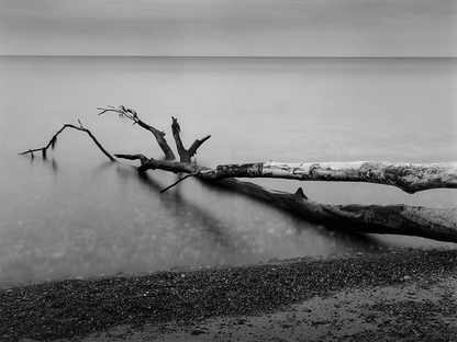 Ein baum liegt im Wasser, langzeitbelichtung, s/w Foto, querformat, 120 x 90 cm, Thomas Dalecki, Kunst-Direkt.de