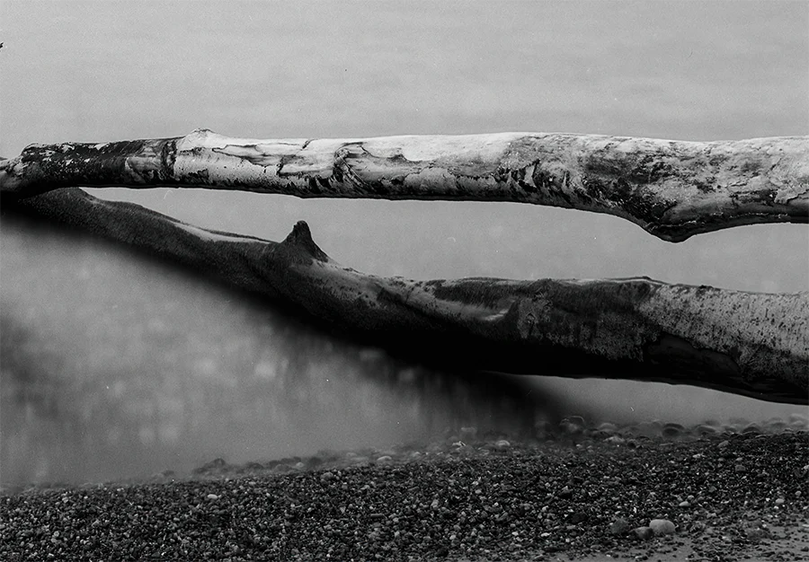Ein baum liegt im Wasser, langzeitbelichtung, s/w Foto, querformat, detail baum, 120 x 90 cm, Thomas Dalecki, Kunst-Direkt.de