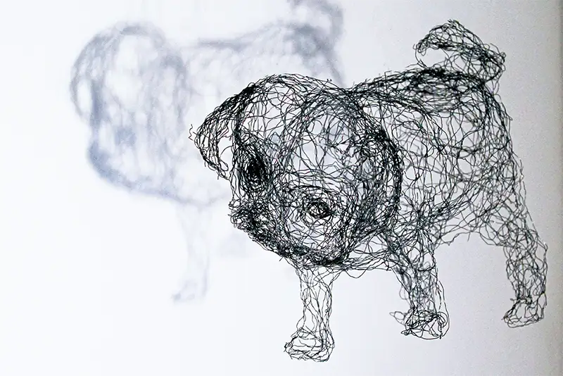 Ein Mops als Drahtskulptur, Ausführung als FIneart Print mit Schatten vor weißem Hintergrund
