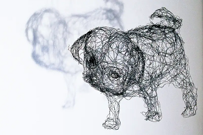 Ein Mops als Drahtskulptur, Ausführung als FIneart Print mit Schatten vor weißem Hintergrund
