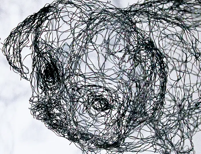 Ein Mops als Drahtskulptur Ausführung Fineart Print mit Schatten vor weißem Hintergrund, Detailansicht des Drahtes