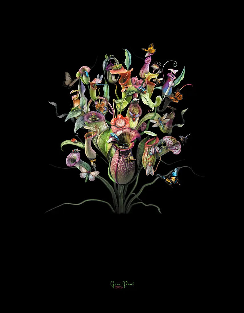 Orchideen – Fineart Print von Gero Paul, 70x90 cm, Alu-Dibond, Kannenpflanzen und Insektenwelt, Dark Nature | Kunst-Direkt.de
