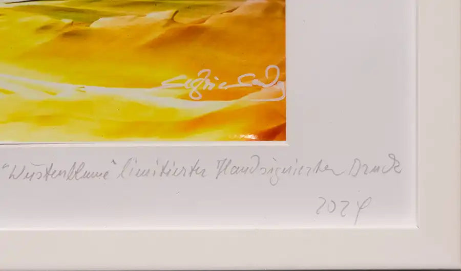 Gemälde einer Wüstenlandschaft, Surreale Stimmung, im Rahmen mit Passepartout, Detailansicht mit der Signatur  der Künstlerin.