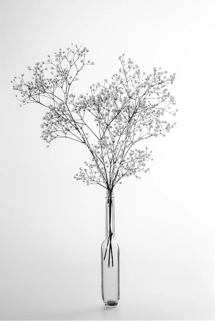 Gypsophila 1 – Fotokunst von Birte Zabel, Schleierkraut in schlanker Glasvase, botanischer Minimalismus in Schwarz-Weiß | Kunst-Direkt.de
