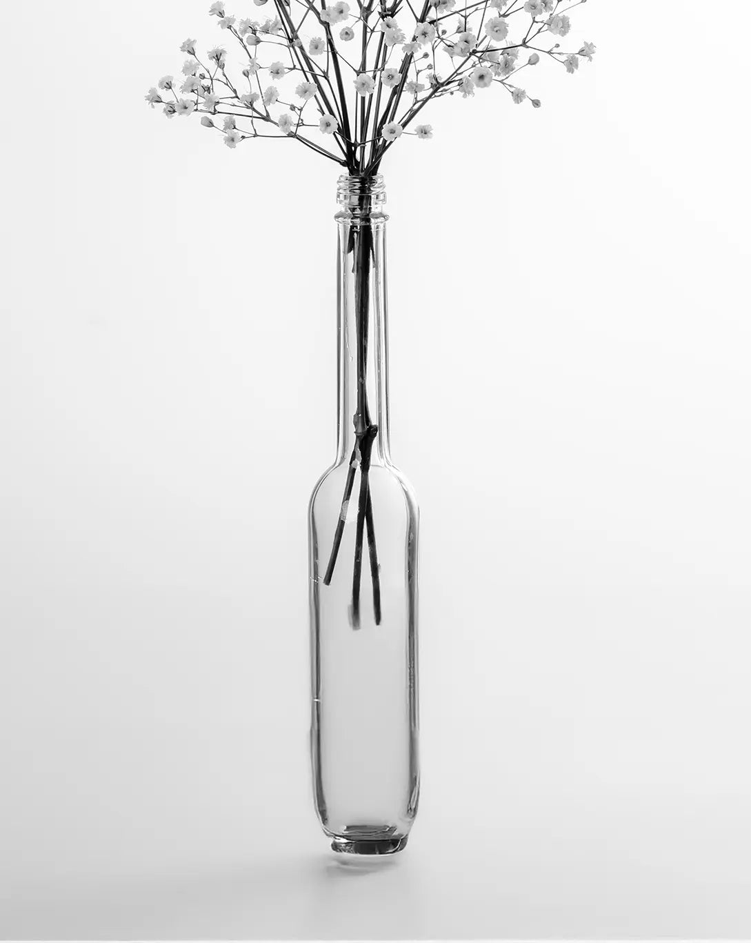 Detailaufnahme Gypsophila 1 – Wolkenartige Blütenstruktur, feine Verästelungen wie Tuschezeichnung, Birte Zabel | Kunst-Direkt.de
