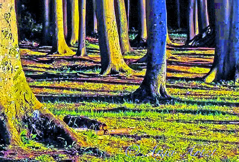 Detalansicht, Bäume und Gras, grün und blaue schatten
