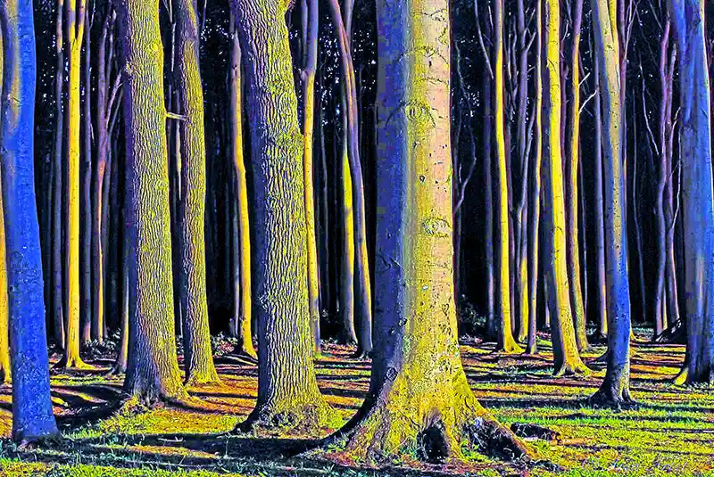 Detalansicht Bäume, ein Wald in Gelb, grün mit blauen Schatten