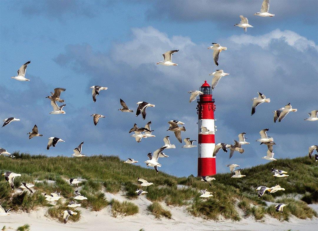 Möven fliegen über einen Strand mit Leuchtturm, Detailansicht Leuchtturm