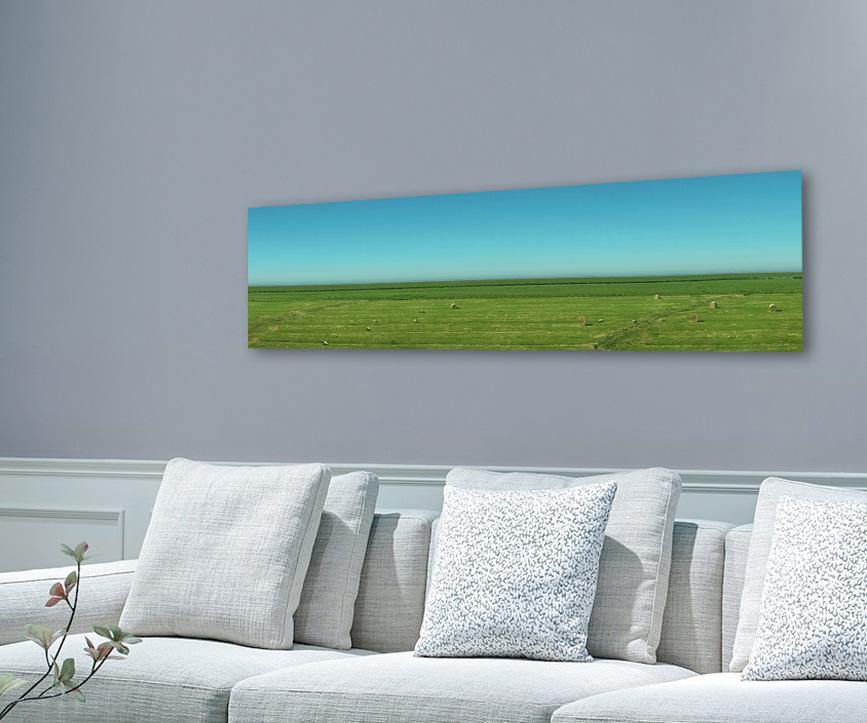 Panoramafoto von Sylt, grüne Wiese mit blauem  Himmel und schafen, 160 x 40 cm, hängend, Rolf Krieger, Kunst-Direkt.de