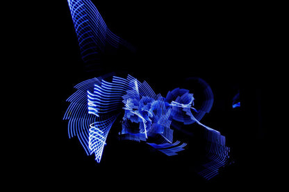 The blue angel - Kunst-Direkt